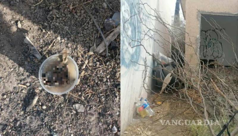 $!Aseguran que Manuel volvió a matar un perro que dejó en un predio abandonado.