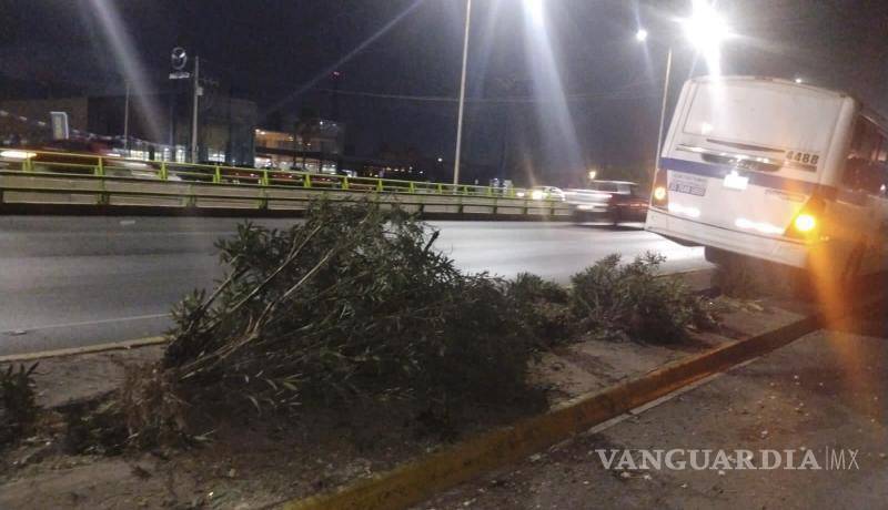 $!El camellón central mostró daños considerables luego de que el vehículo derribara árboles y arbustos.