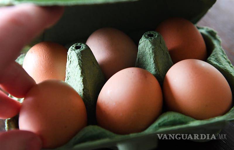 $!Arrestan dos sospechosos en Holanda por caso de huevos contaminados