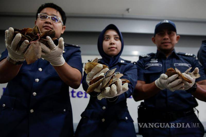 $!Confiscan en Malasia carne de pangolín valorada en 2.1 mdd