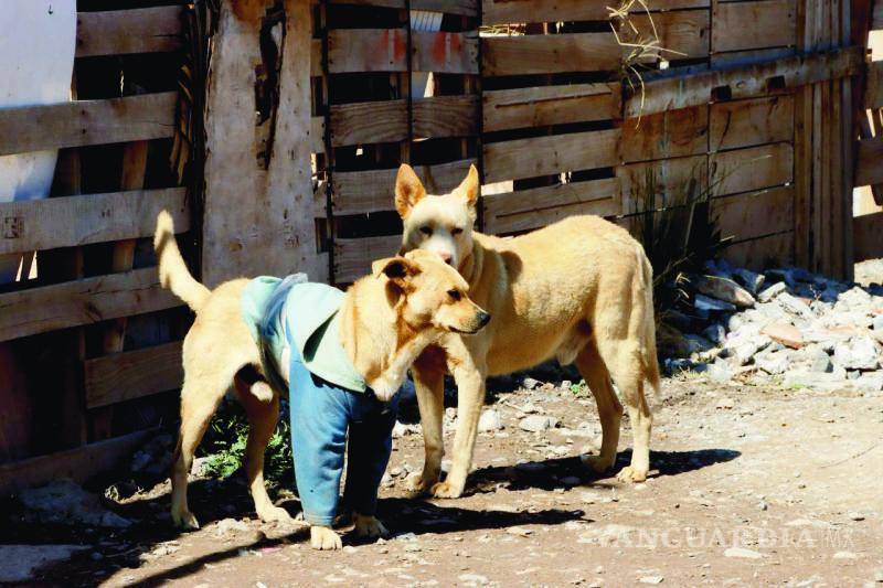 $!En Saltillo, seis mil personas habitan en algún punto de riesgo, sobre todo en temporada de lluvias