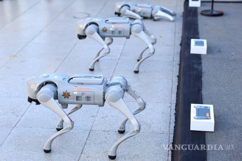 $!NL: De cara al Mundial, Guadalupe incorpora perros robots a sus tareas de seguridad