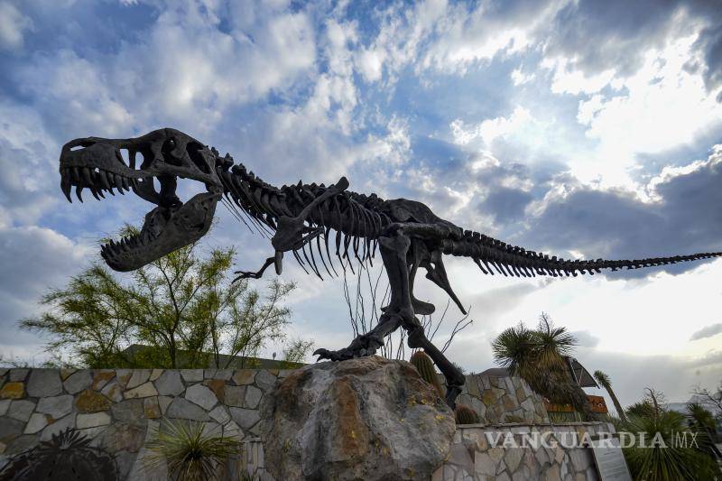 $!Al menos seis especies de dinosaurios pueden considerarse que vivieron en lo que hoy es el estado de Coahuila.
