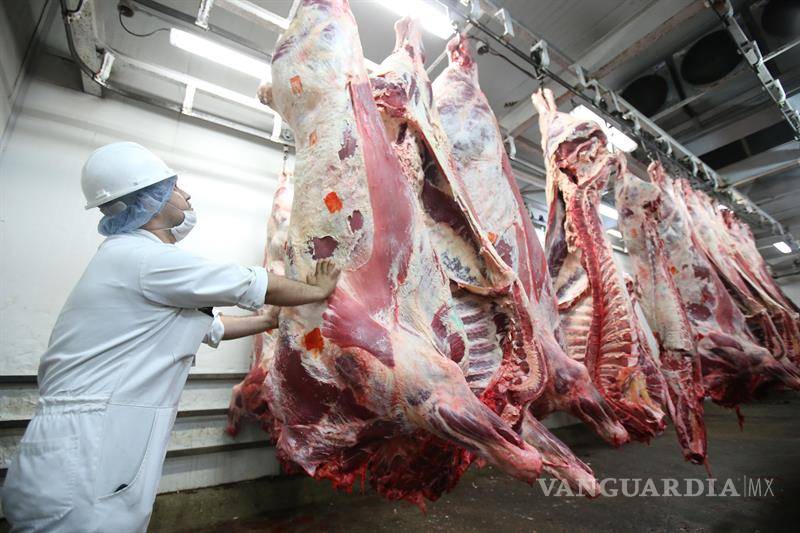 $!Disminuir 50% el consumo de carnes rojas reduce 22% el riesgo de enfermedades