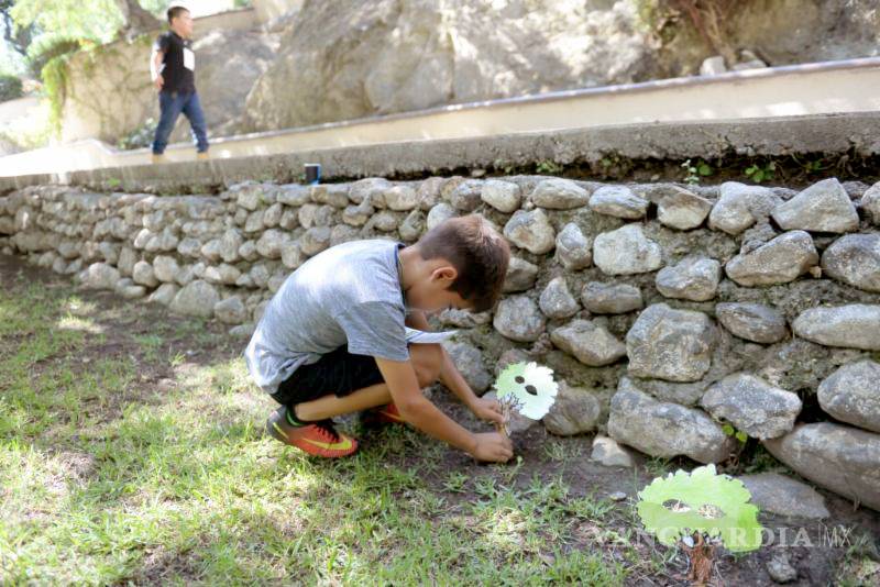Incluirán a niños saltillenses en la preservación de bosques