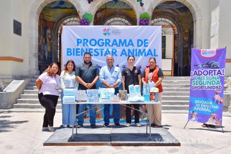 $!Lanzan campaña para mejorar condiciones de vida de perros y gatos en situación vulnerable-