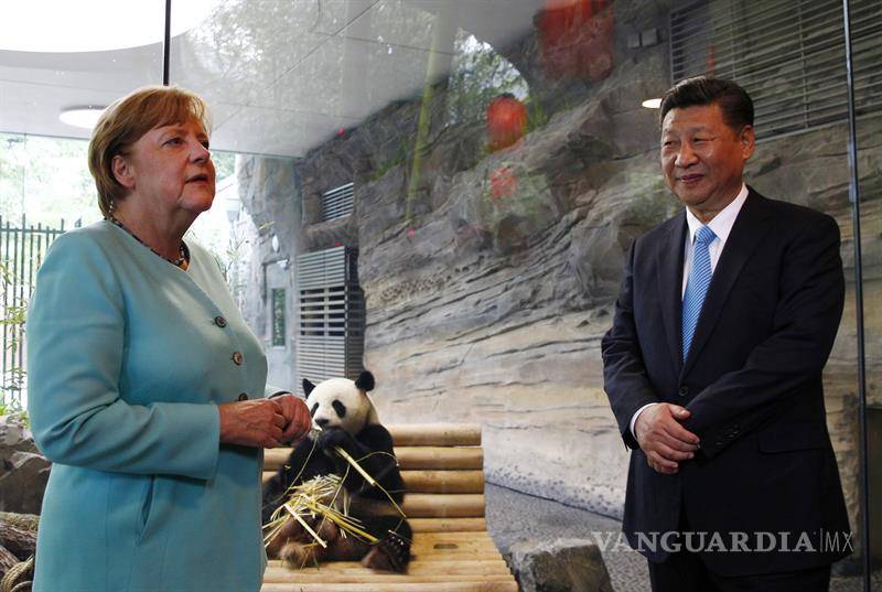 $!Tesorito y Sueñito, el regalo de Xi a Merkel antes del G20
