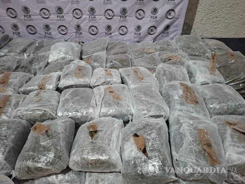 $!Capturan a hombre con 228 kilos de marihuana en General Bravo, Nuevo León