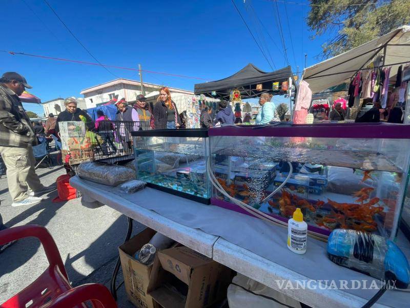 $!Comerciantes evitaron ser entrevistados y algunos se movieron de lugar para no ser fotografiados durante el recorrido periodístico.