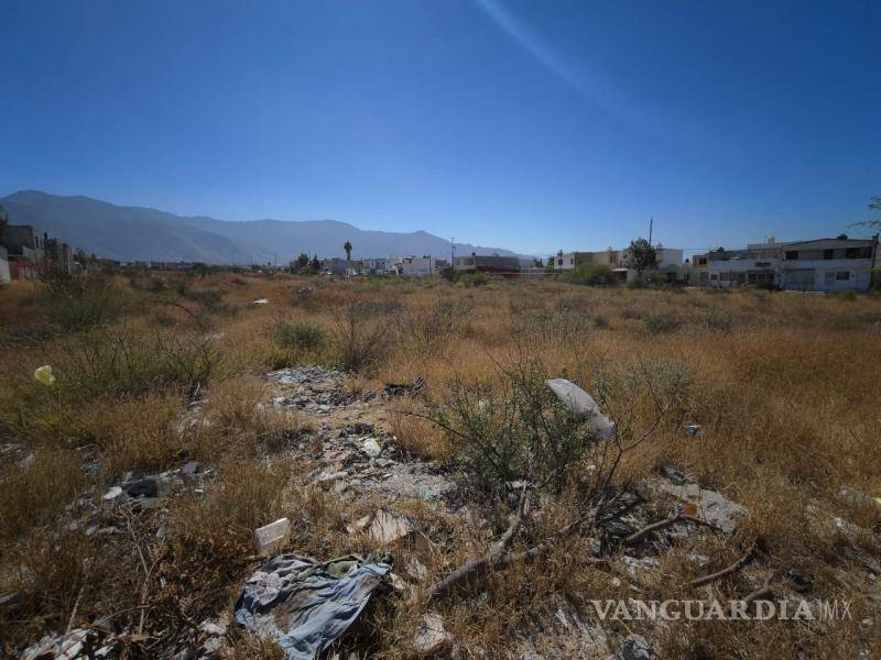 $!Autoridades municipales pueden aplicar sanciones de hasta 50 salarios mínimos a quienes incumplan con el mantenimiento de sus terrenos.