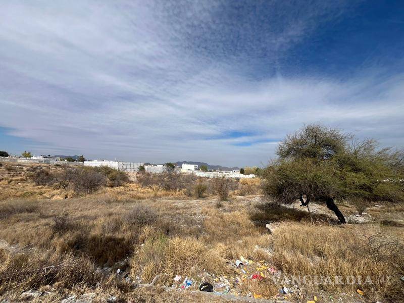 $!Pese a que la maleza del terreno ha sido consumida por el fuego, los matorrales continúan levantándose.