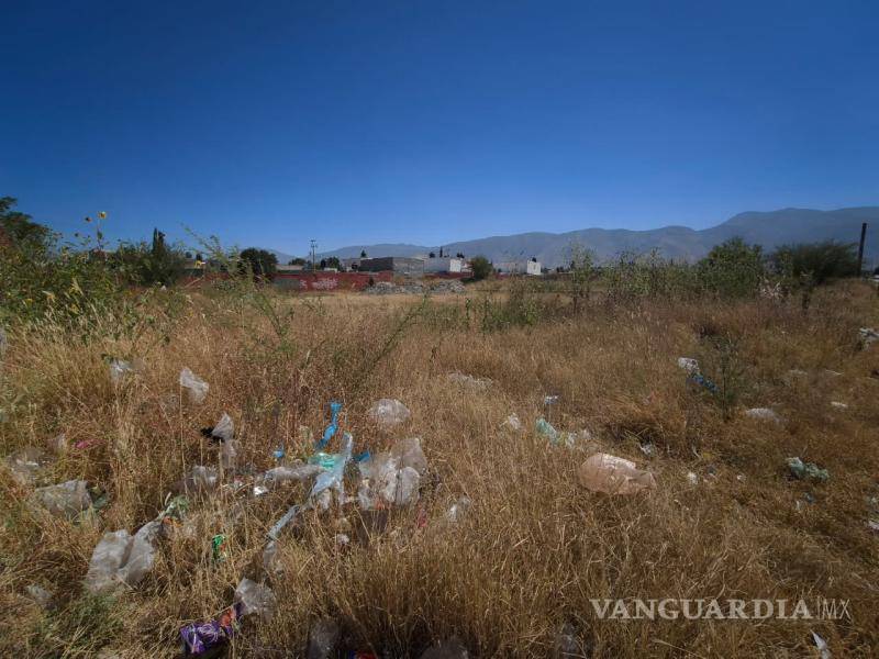 $!Habitantes relatan que incluso una persona llegó a habitar el terreno, lo que provocó un incendio antes de que fuera retirado por la policía.