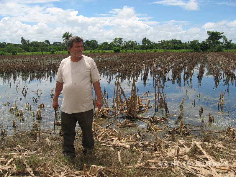 $!Desastres por cambio climático amenazan seguridad alimentaria: FAO
