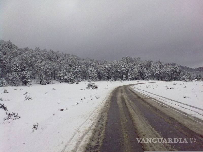 $!12 grados bajo cero registra La Rosilla, Durango
