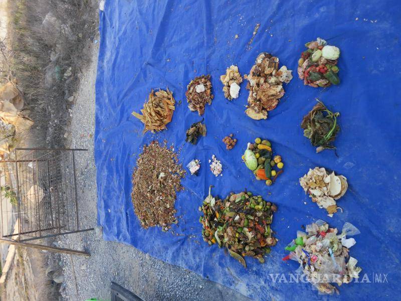 $!La interacción entre las bacterias indígenas de la FORSU y el consorcio microbiano del lodo residual potenció la producción de biohidrógeno, demostrando que la combinación de microorganismos nativos y mixtos puede incrementar la eficiencia del proceso.