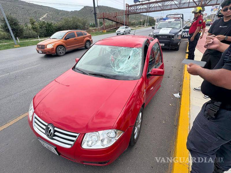 $!Cae trozo de madera de camión y daña parabrisas de vehículo, en Ramos Arizpe