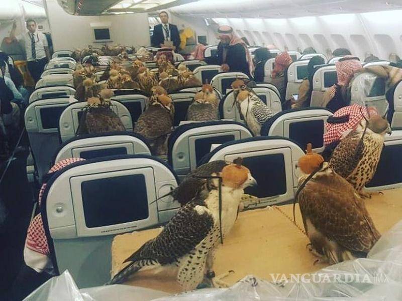 $!Los halcones de Trump viajan en avión. Las latitas de atún mexicanas, muy apenas en VivaBus.