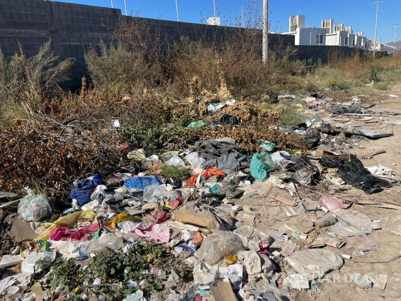 $!El basurero improvisado ha provocado la presencia de ratas y víboras, las cuales, según vecinos, ingresan a las viviendas cercanas.