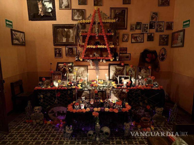 $!Paola Salazar, encargada del altar de Oniria, inicia el montaje el 24 de octubre, siguiendo la creencia de que los animales abren el camino para las almas el 1 de noviembre.