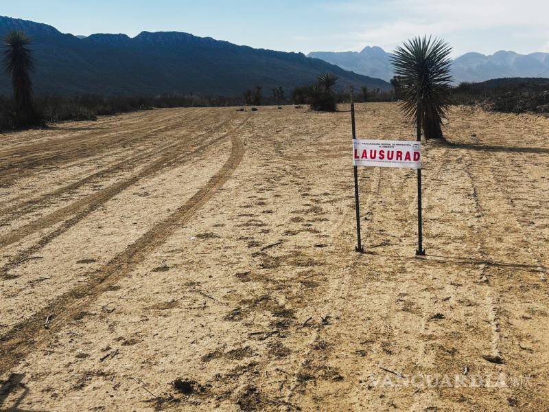 $!La superficie afectada por las actividades no autorizadas es de aproximadamente 125 mil metros cuadrados.