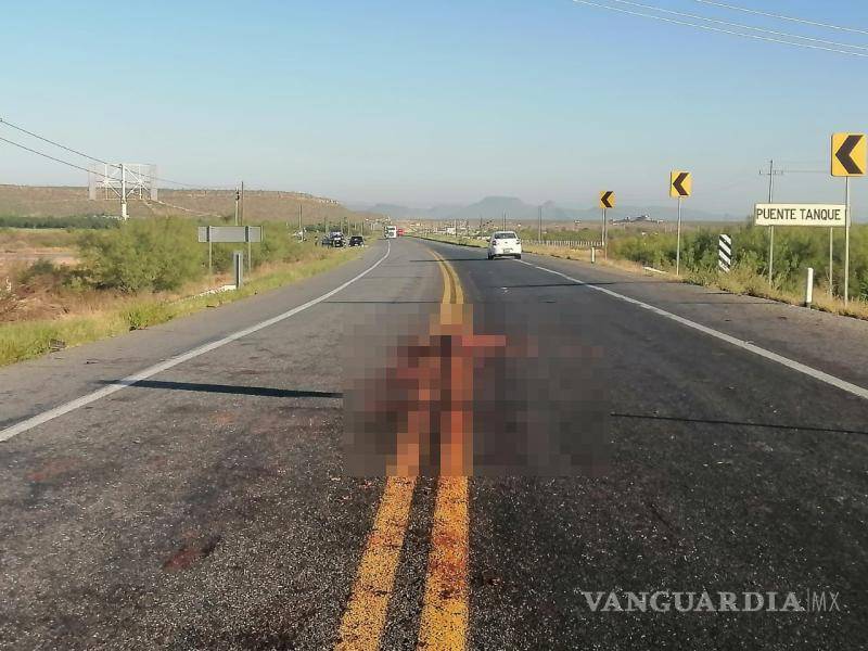 $!El burro atropellado fue retirado de uno de los carriles por personal de apoyo.
