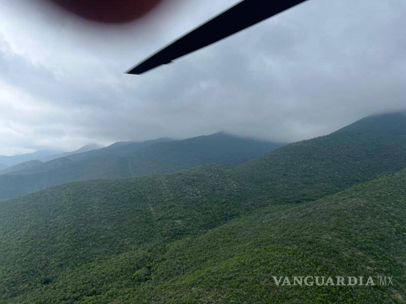 $!Liquidan al 100% incendio forestal en Villaldama, Nuevo León