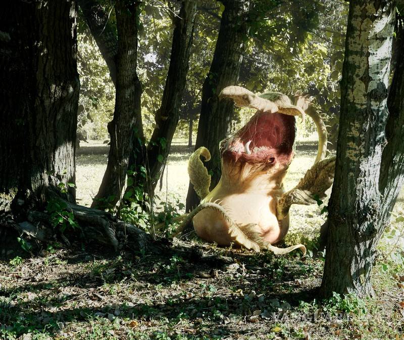 $!¿En serio esta cosa se 'comía' a James todo el tiempo?; Artista recrea escalofriante Victreebel, versión realista