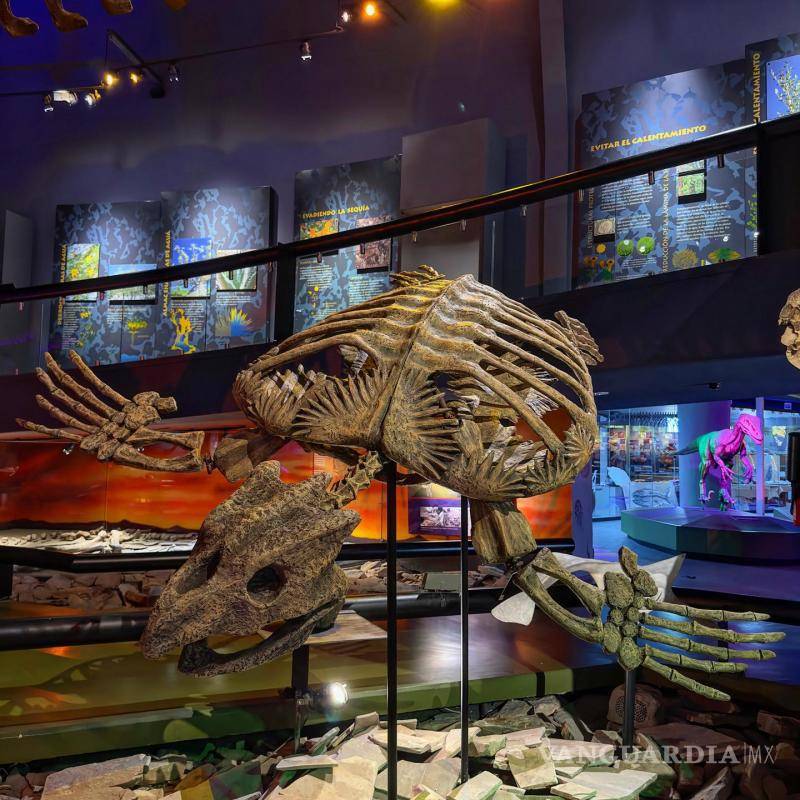 $!Las exposiciones del MUDE se han presentado en varios recintos de México.