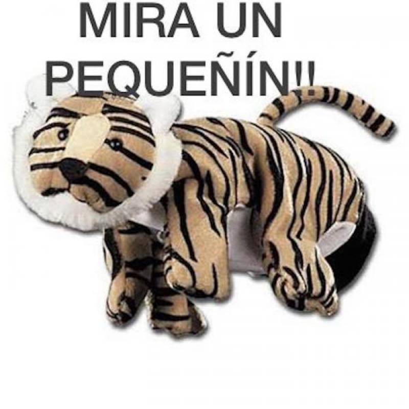 $!Los memes de la eliminación de Tigres por el Zacatepec