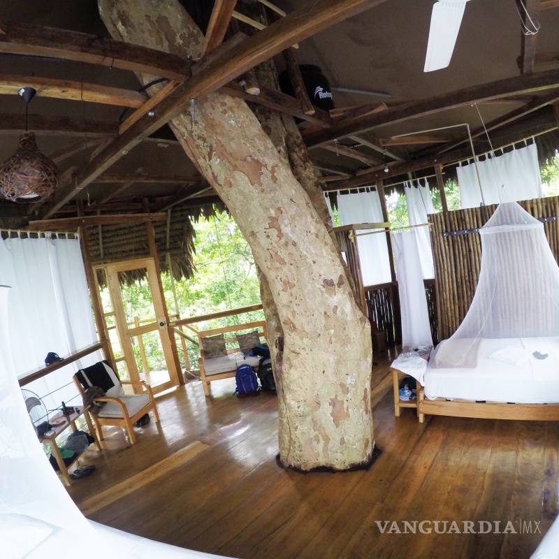 $!Estos son los hoteles más curiosos