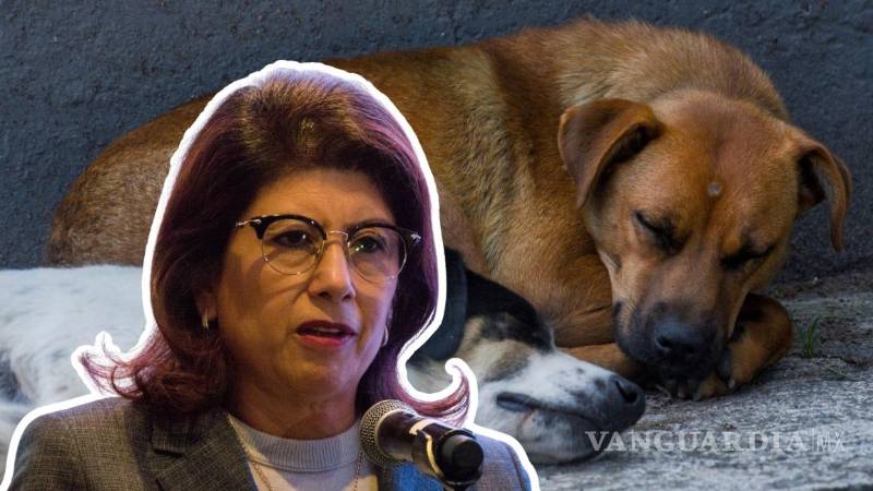 Mariela Gutiérrez Escalante reconoce sacrificio de 10 mil perros ...