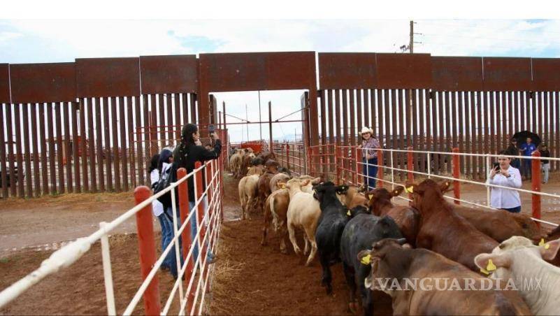 $!Unión Ganadera Regional de Coahuila reafirma su compromiso con la vigilancia sanitaria para proteger al sector.