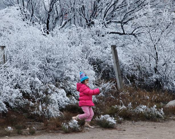 Los meses de invierno concentrarán más de la mitad de los sistemas frontales previstos para México.