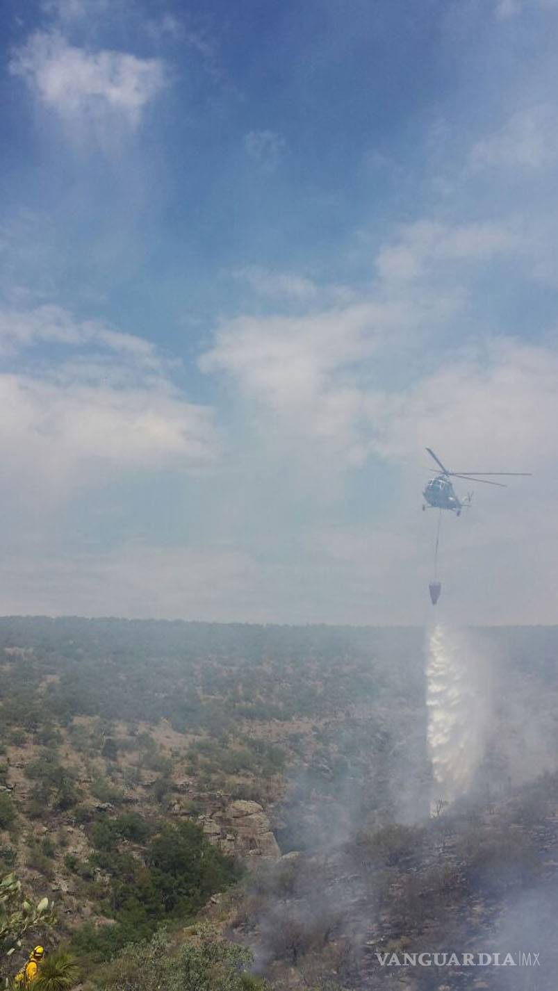 $!Corrige Conafor incendio no se registra en Maderas del Carmen, Ocampo Coahuila