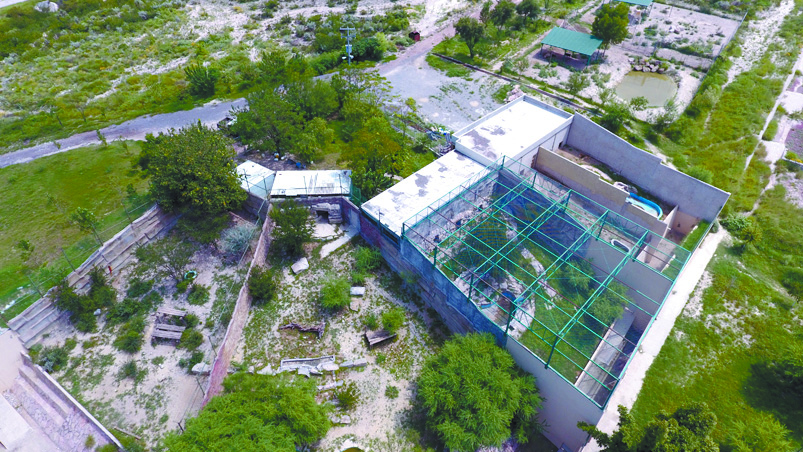 $!Pintan de verde a Monclova Sembrando conciencias