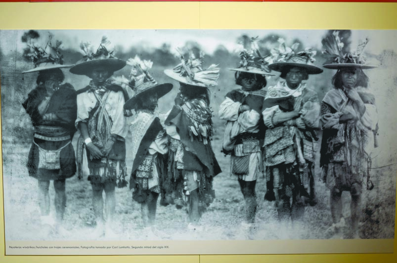 $!El peyote: Descubre la magia de una planta sagrada