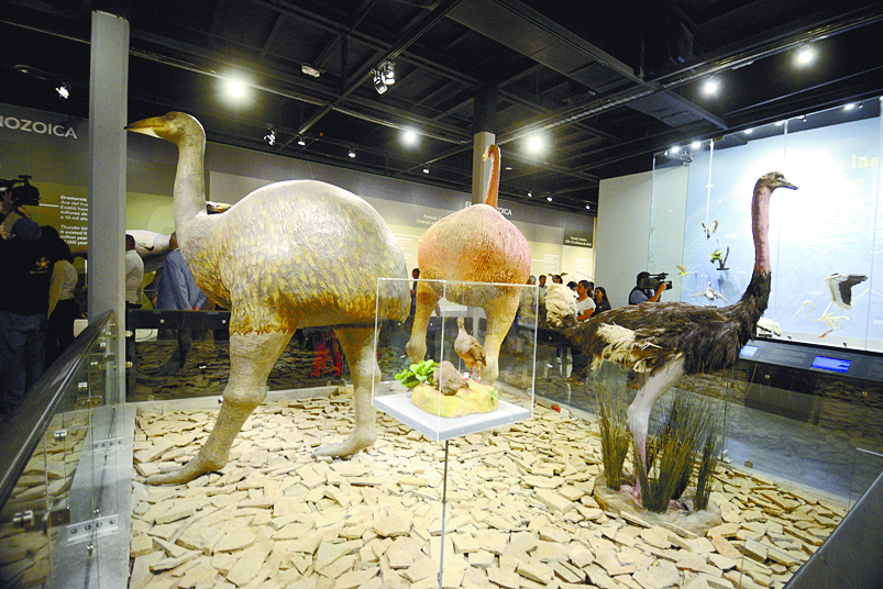 $!El Musave reemprende el vuelo