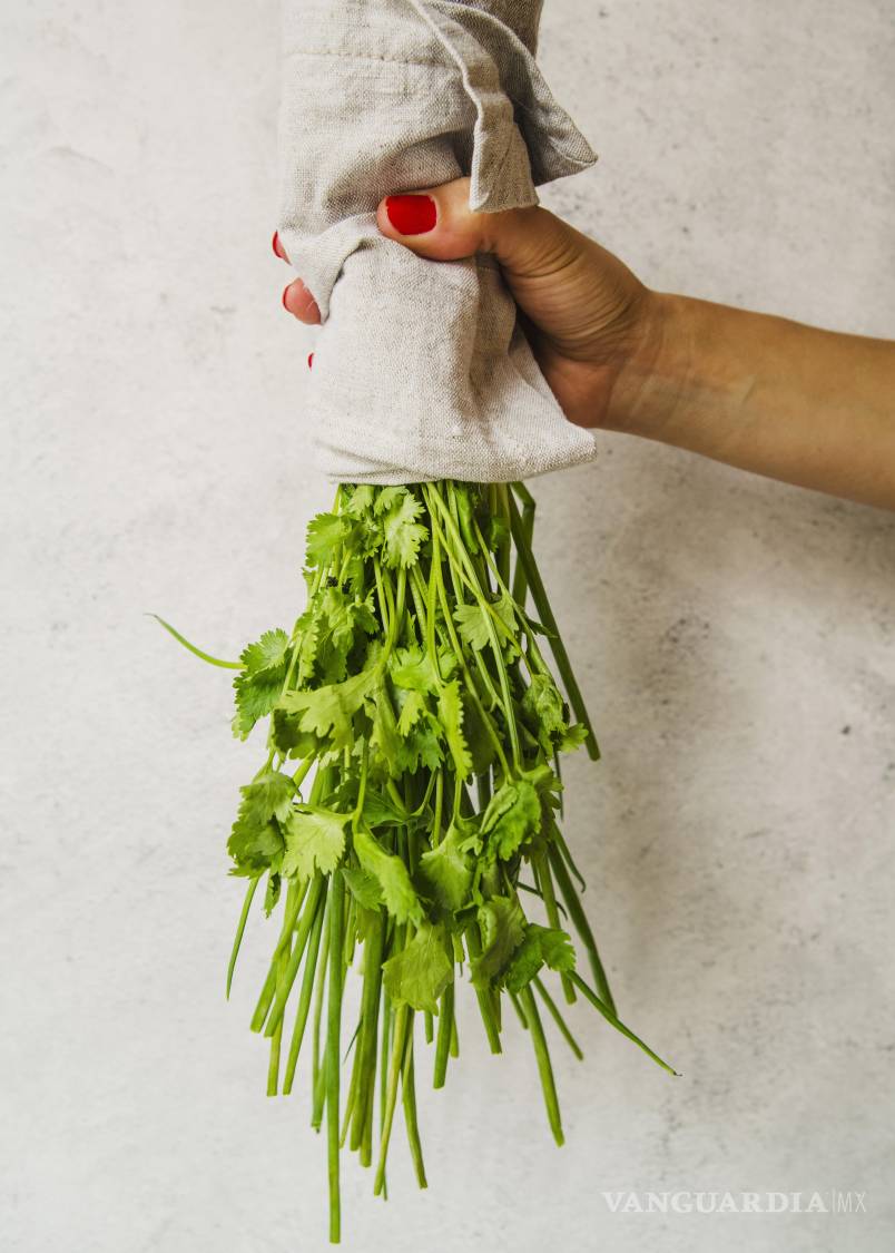 $!El cilantro que es originario de África y la región mediterránea oriental, llega a México con los colonizadores.