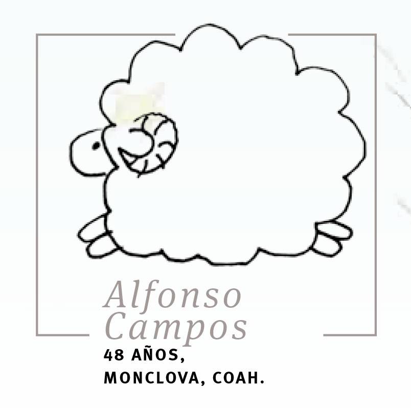 $!A 75 años de la publicación de 'El Principito', pedimos a lectores y colaboradores: 'Por favor... dibújame un cordero!