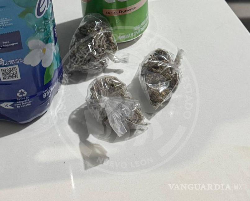 Nuevo León: en cateo a 10 viviendas de Monterrey y García, detienen a seis; aseguran armas y drogas