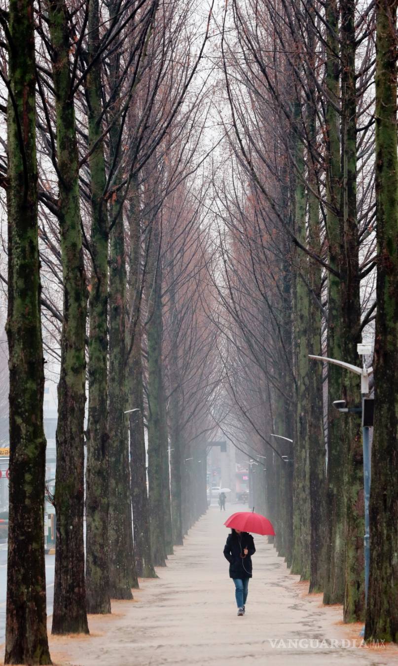 $!¿Influye el clima en nuestra salud y nuestro estado de ánimo?
