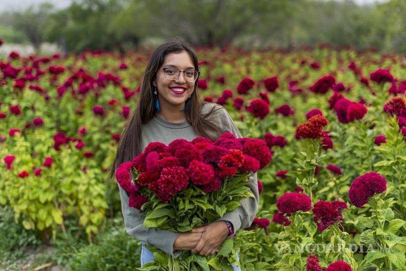 $!Flores de cempasúchil y mano de león: colores vibrantes en el ejido Rinconada.