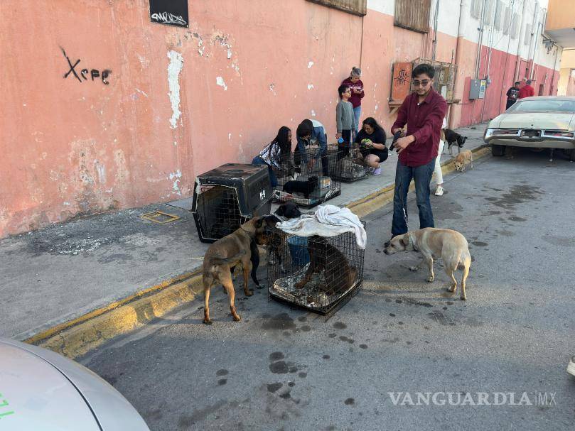 $!Los animales fueron trasladados a un área segura mientras los bomberos ventilaban el lugar y eliminaban riesgos.