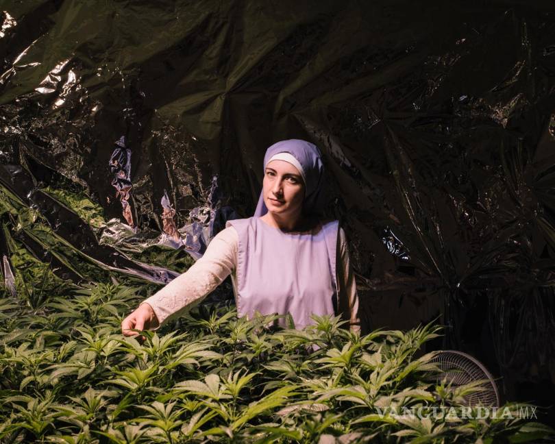 $!Con hábito de monjas, las "hermanas del Valle" se hacen ricas con mariguana