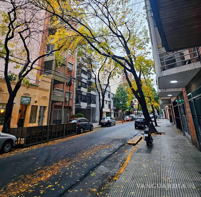 Dos otoños y ninguna primavera