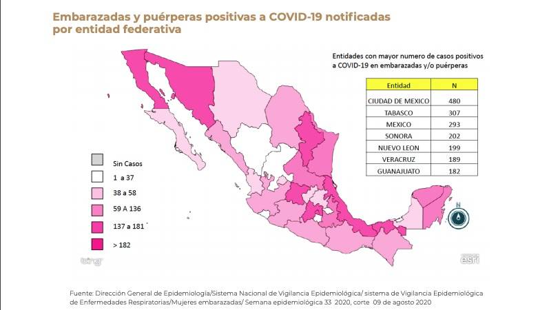 $!Más de 3 mil mujeres embarazadas o en puerperio infectadas con COVID-19 en México