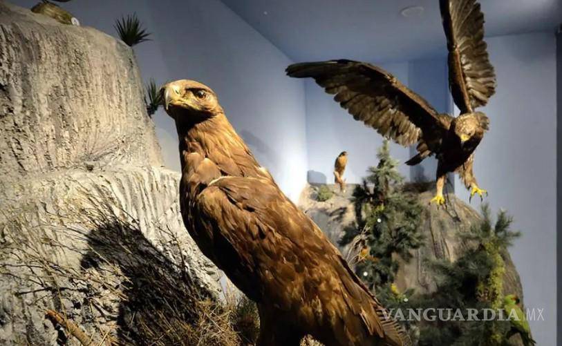 $!El Musave operará todos los días de Semana Santa y Pascua, con entrada accesible y paquetes familiares para fomentar el turismo educativo.