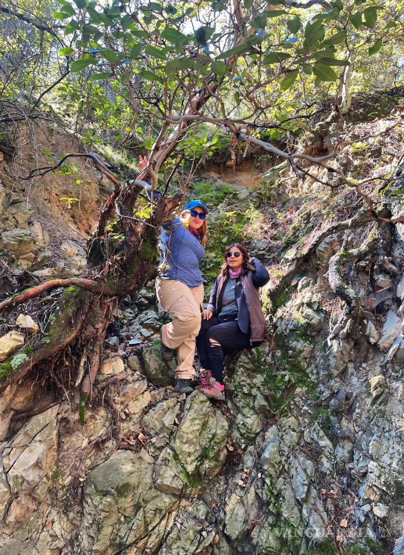 $!Para ambas, cada cumbre alcanzada representa constancia, confianza y trabajo en equipo.