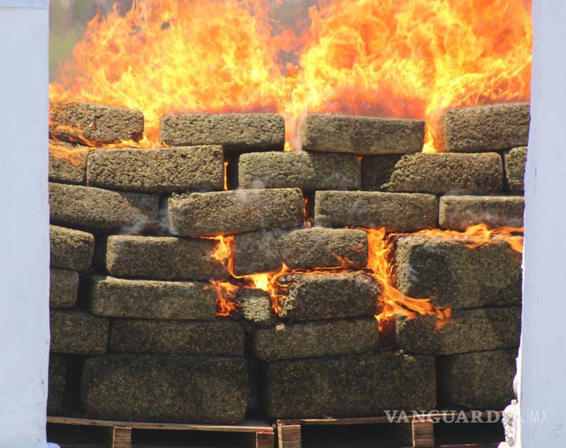 Incineran en Nuevo León más de 2 toneladas de drogas
