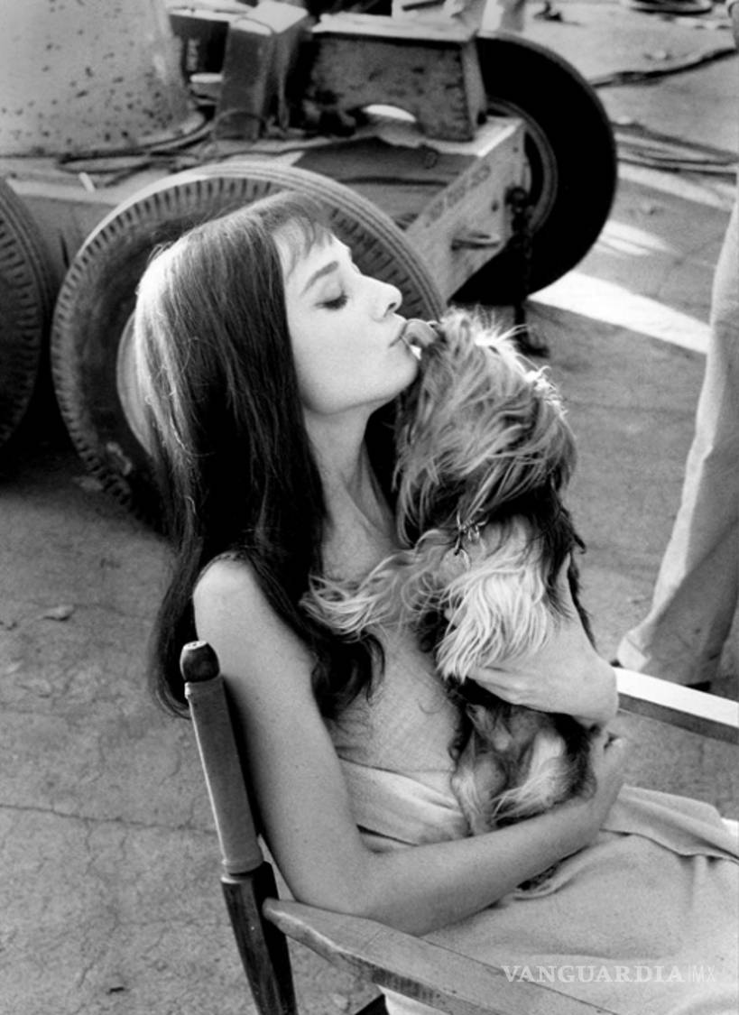 $!Cinco datos desconocidos: Audrey Hepburn